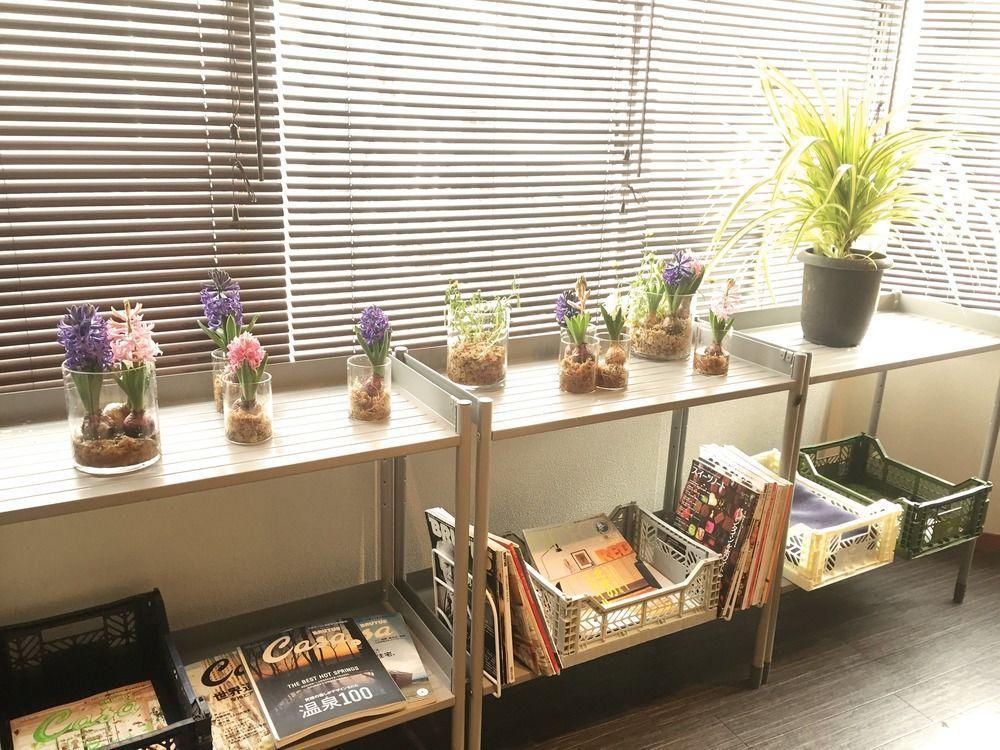 Daikoku Hostel أوساكا المظهر الخارجي الصورة